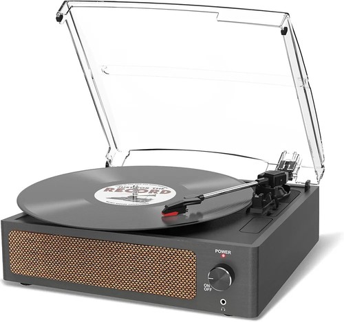 Vinyl record player with - vinyl,